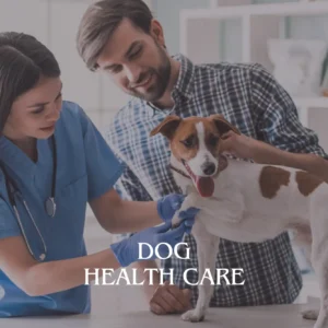 Dog Health Care