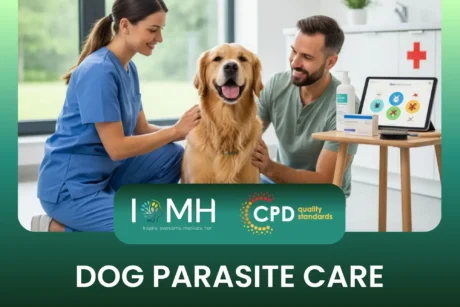 Vet examining Golden Retriever; banner promotes IOMH Dog Parasite Care course.