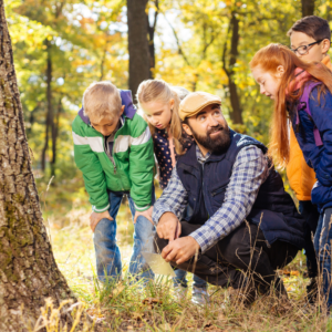 Introduction to Forest Schooling