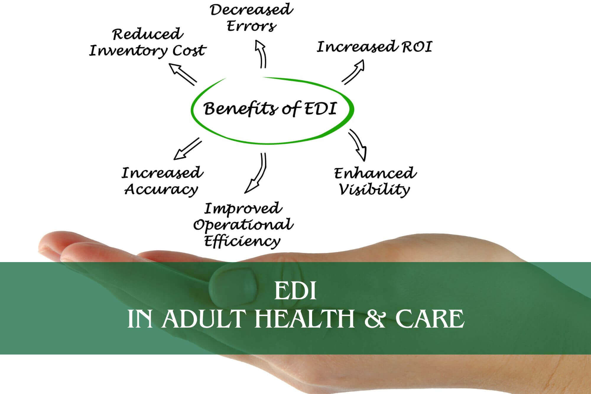 EDI in Adult Health & Care