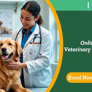 Online Veterinary Medicine