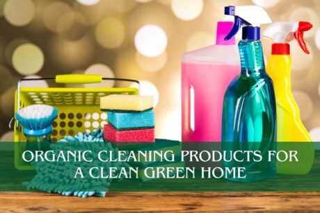 Organic Cleaning Products For A Clean Green Home
