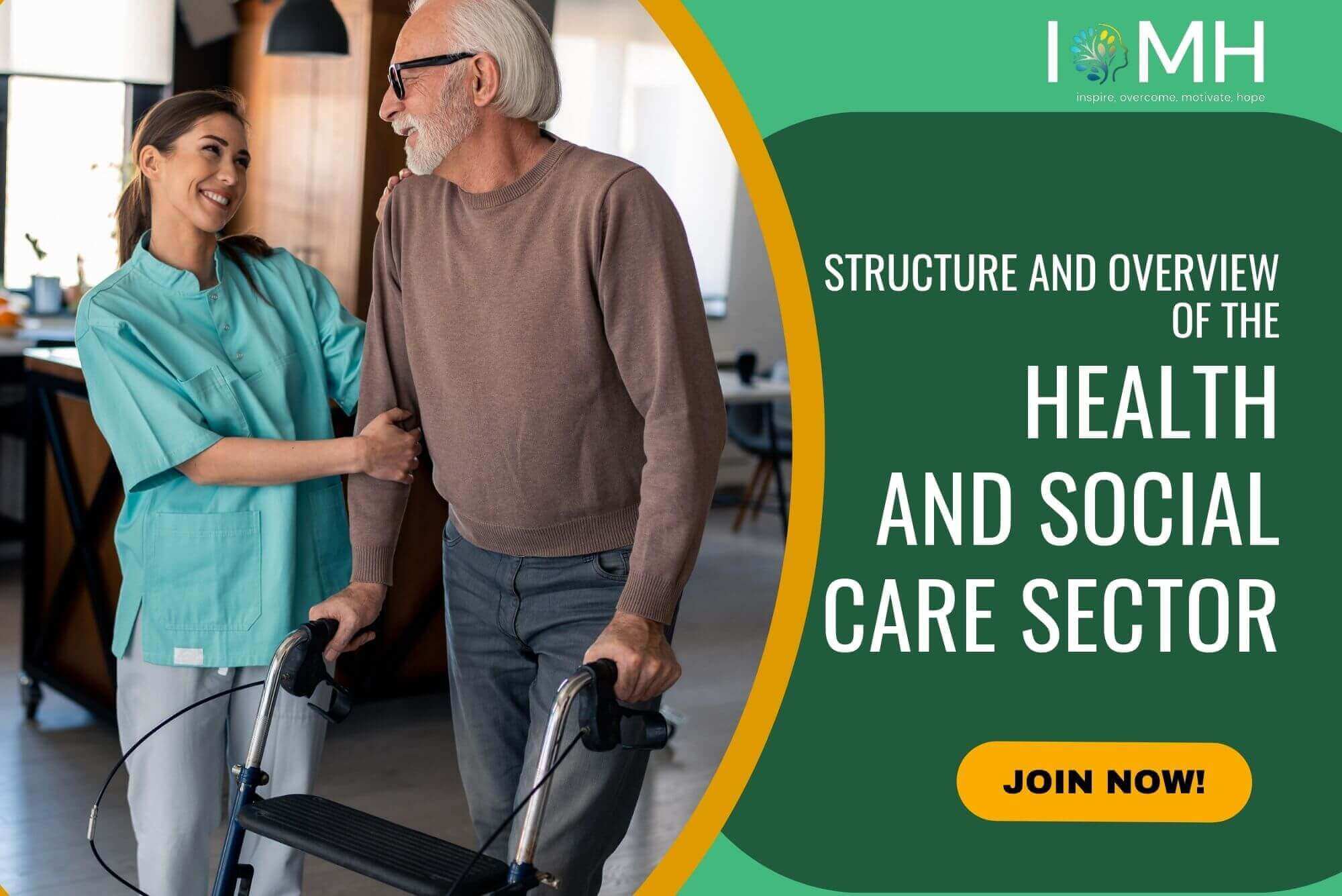 Structure and Overview of the Health and Social Care Sector