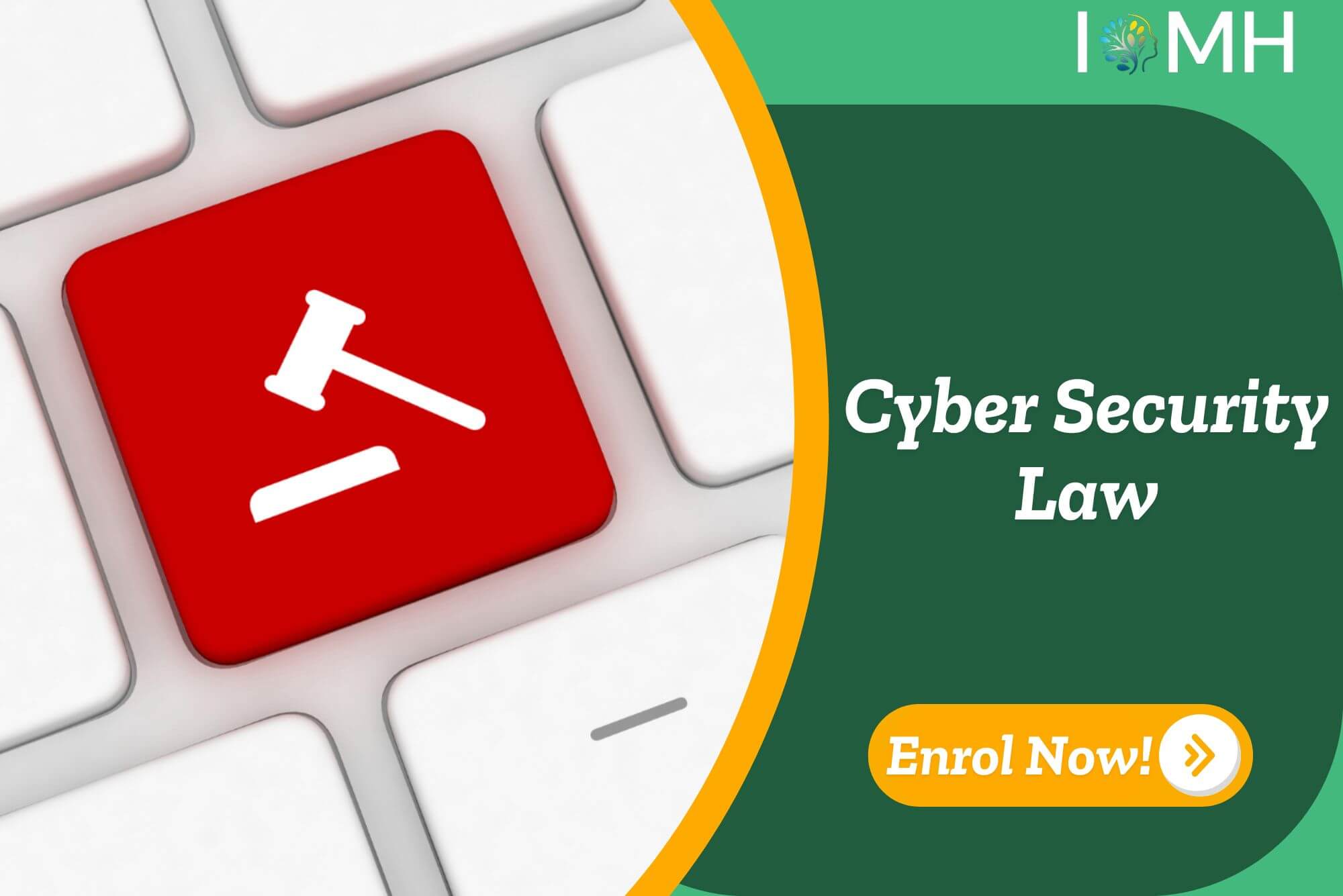 Cyber Security Law