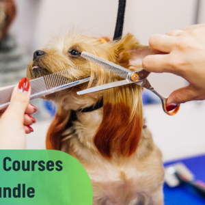 Dog Grooming and Dog Care Training