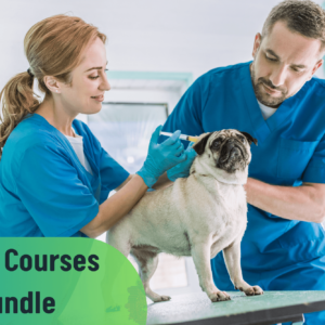 Level 3 Certificate in Veterinary Assistant - Career Bundle