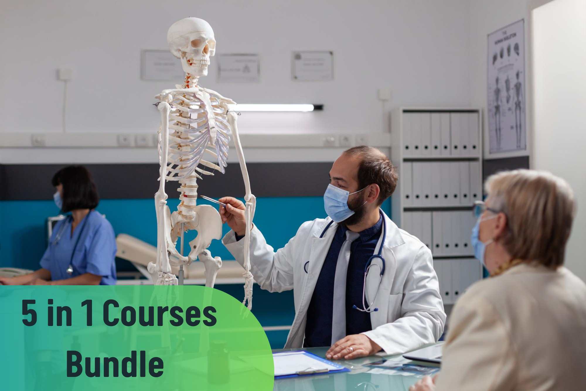 Level 3 Human Anatomy, Physiology and Medical Terminology Diploma