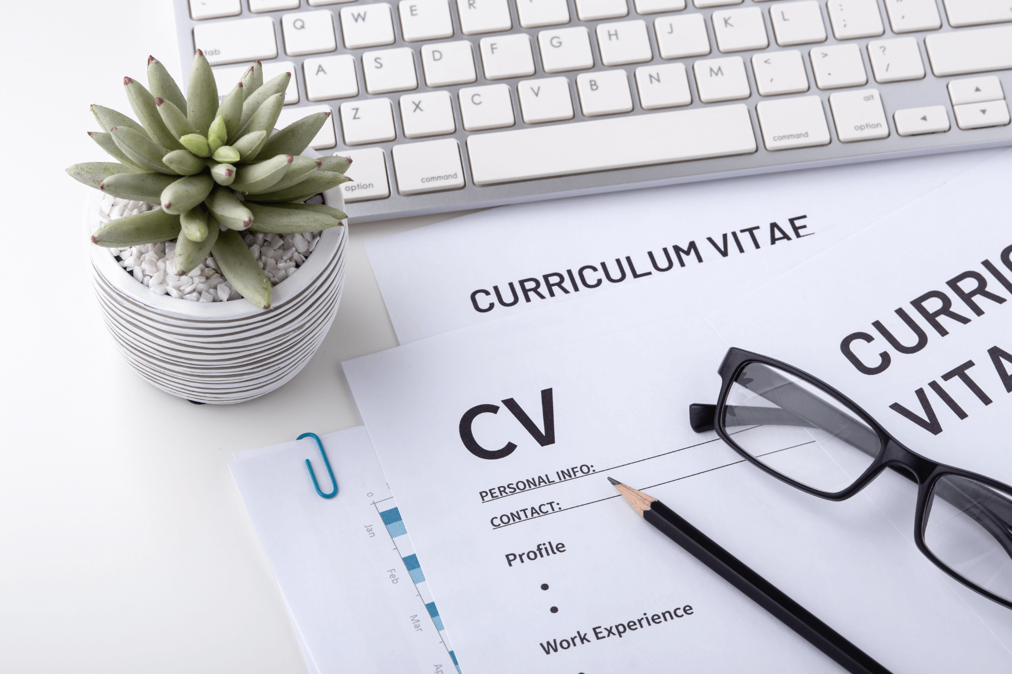 Effective CV Writing