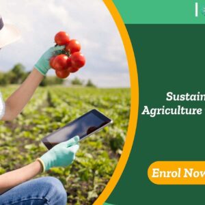 Sustainable Agriculture in the UK