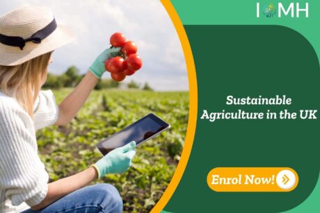 Sustainable Agriculture in the UK