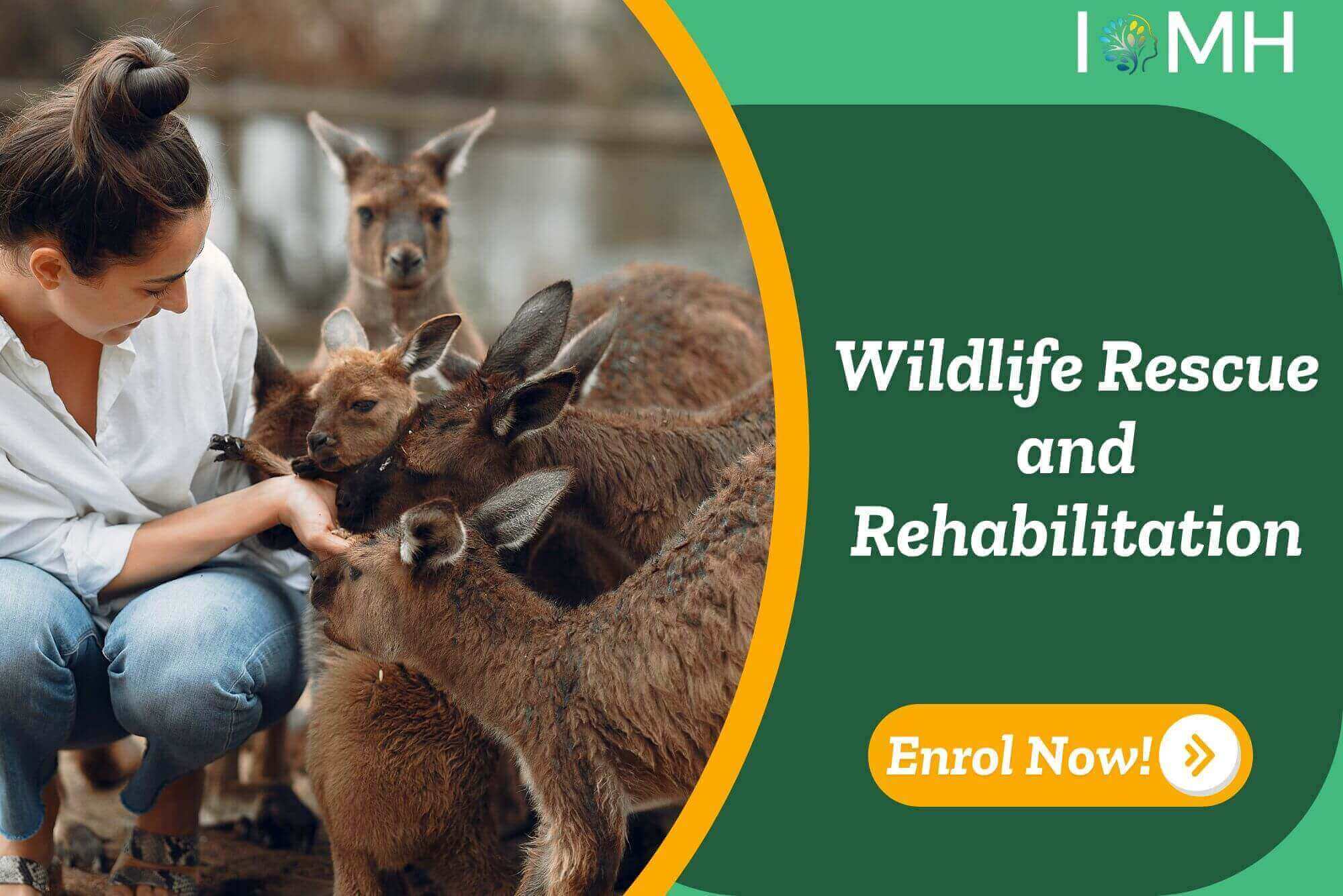 Wildlife Rescue and Rehabilitation