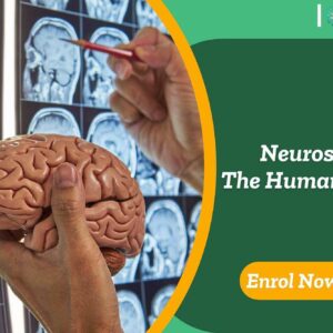 Neuroscience: The Human Brain