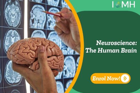 Neuroscience: The Human Brain