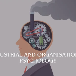 This image represents the concept of Industrial and Organisational Psychology by showing a human head filled with gears and machinery.