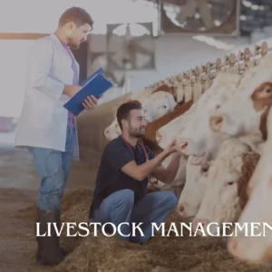 The picture represents two men are caring their cows.