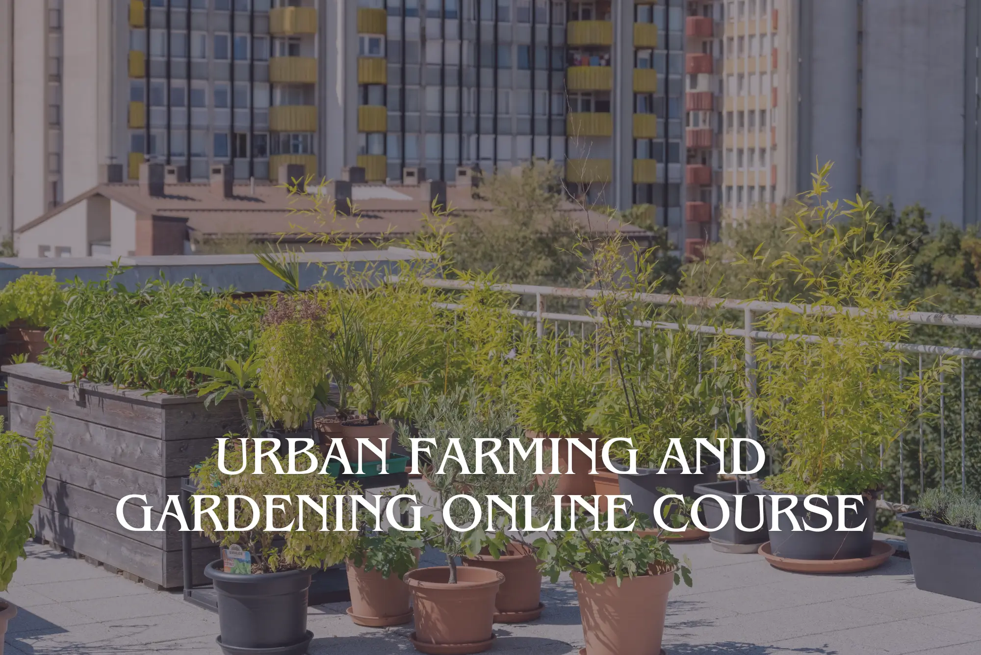 Urban Farming and Gardening online course.