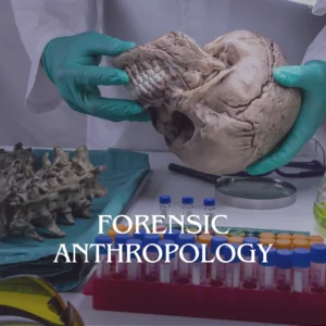 Forensic Anthropology