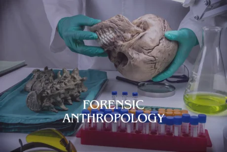 Forensic Anthropology