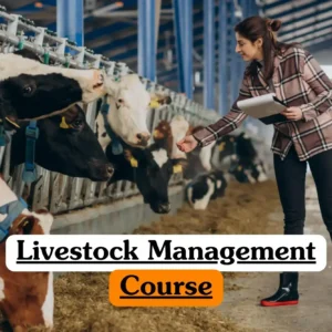 Livestock Management Course banner with farmer inspecting cows in barn feeding stalls.