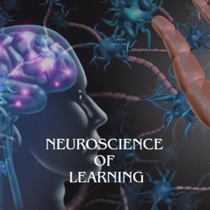 Neuroscience of Learning