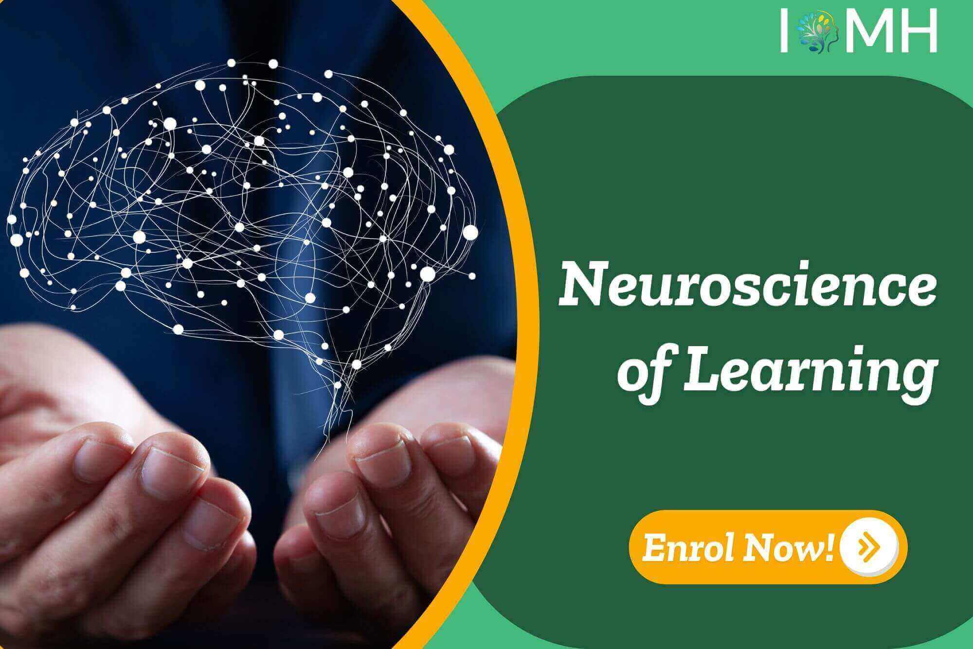 Neuroscience of Learning