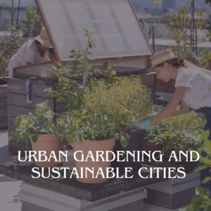 Two women are working in a rooftop garden.