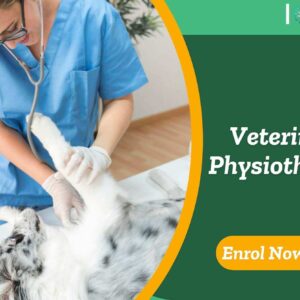 Veterinary Physiotherapy
