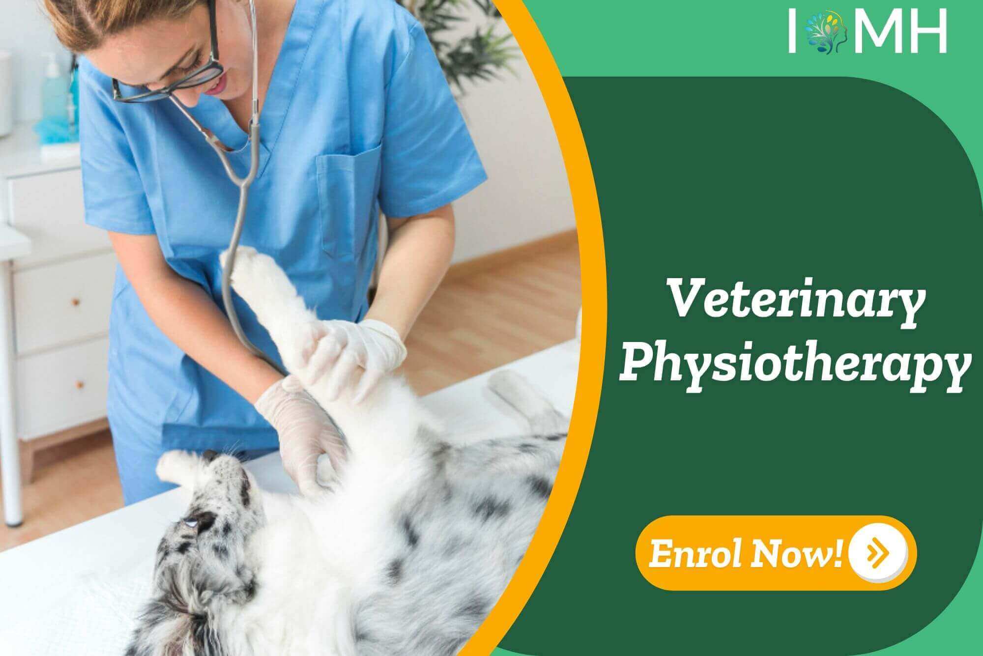 Veterinary Physiotherapy