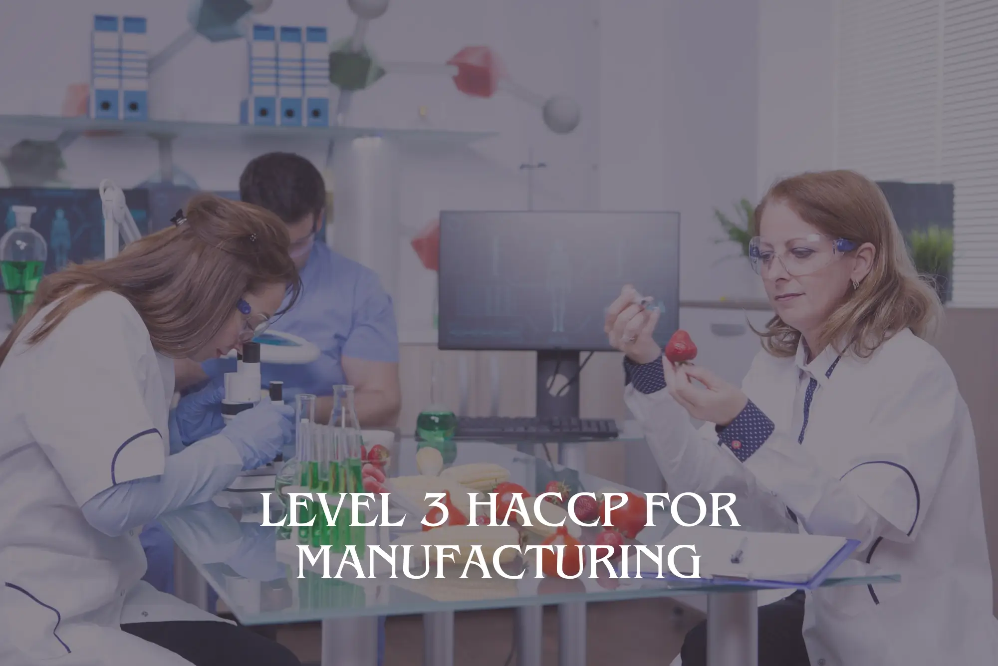 Level 3 HACCP for Manufacturing