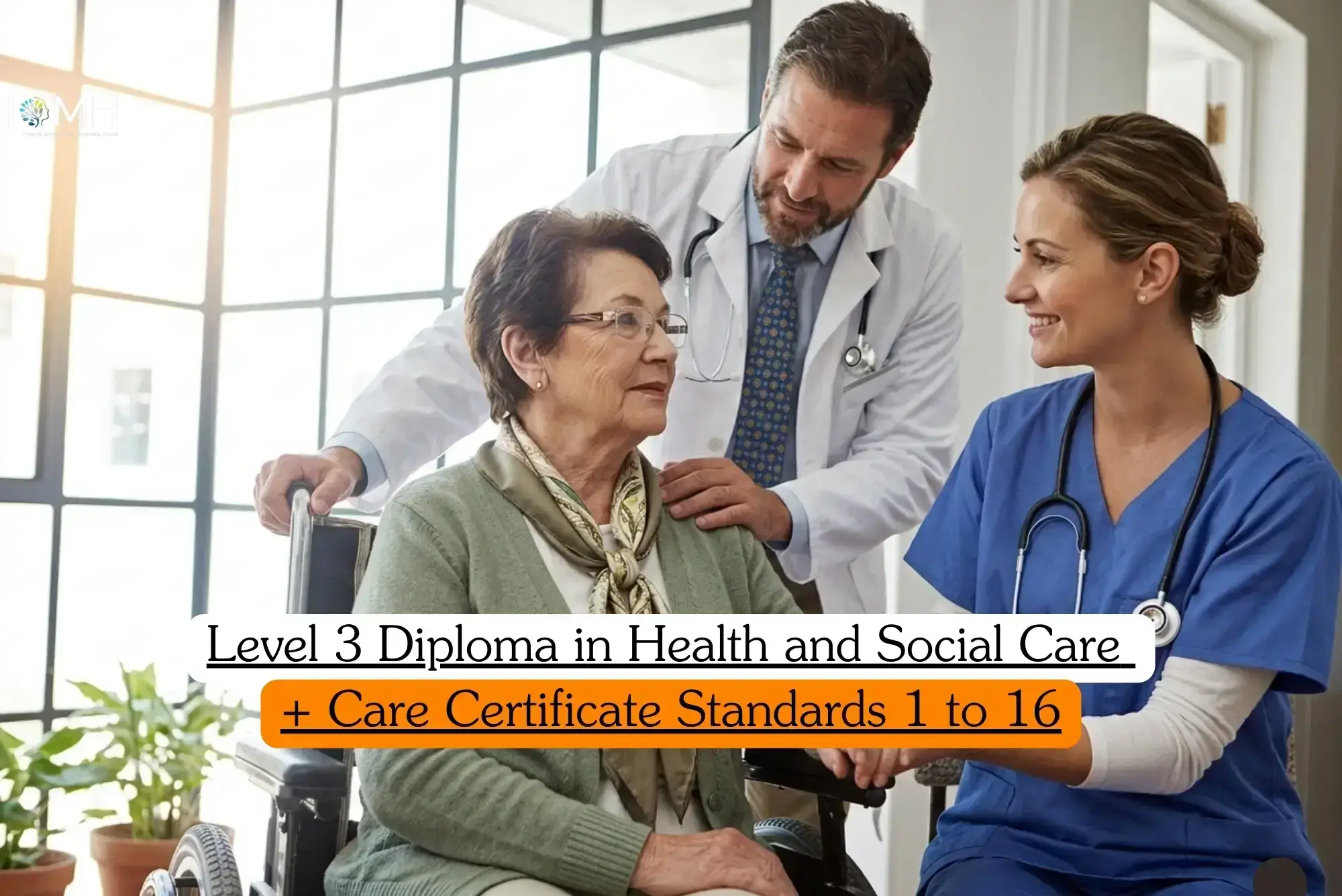 Level 3 Diploma in Health and Social Care and Care Certificate Standards course banner with older adult in wheelchair supported by healthcare professionals in white coat and blue scrubs with stethoscopes in bright care setting with large windows and plants.