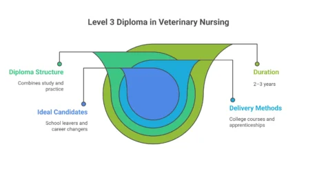Infographic outlining Level 3 Veterinary Nursing Diploma: structure, audience, duration, and delivery.