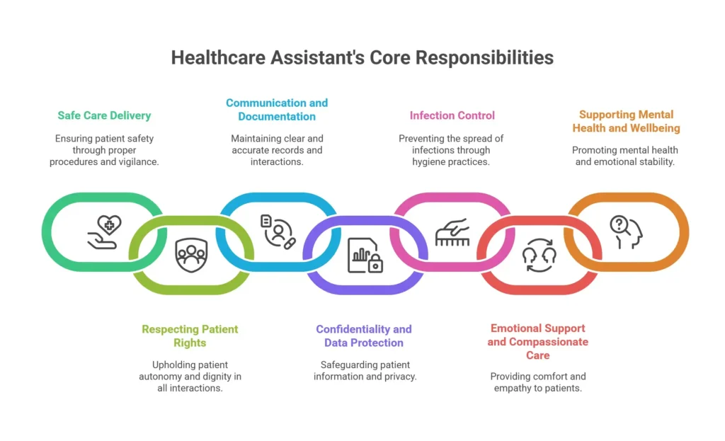 Infographic listing the seven key areas of responsibility for a Healthcare Assistant: Safe Care, Communication, Infection Control, Mental Health Support, Patient Rights, Confidentiality, and Emotional Support.