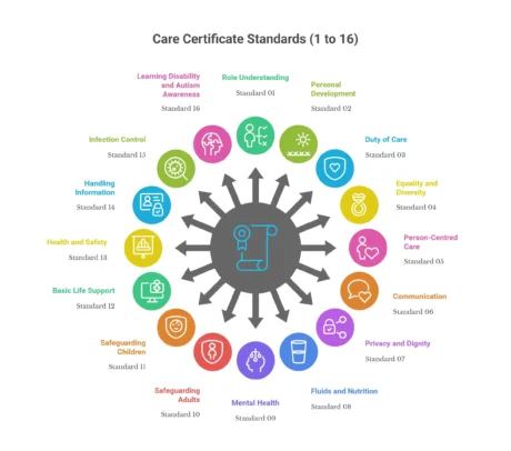 Circular infographic showing Care Certificate Standards (1 to 16) with icons and labels.