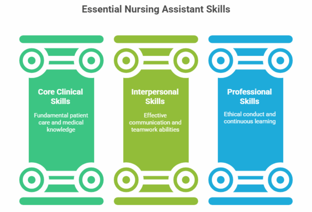 Infographic illustrating the 17 essential nursing assistant skills needed for UK healthcare roles