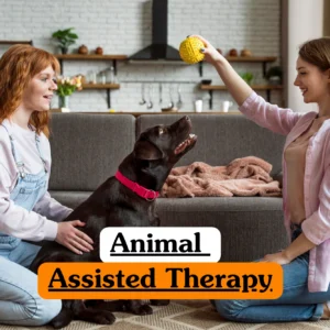 Healthcare and wellness training banner showing two women sitting on a rug in a living room, smiling as they play with a chocolate Labrador retriever using a yellow ball.