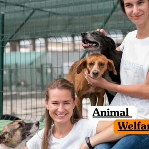 Theoretical zoology and animal ethics training banner featuring two smiling female volunteers sitting on a green bench while interacting with several rescue dogs in an outdoor shelter facility.
