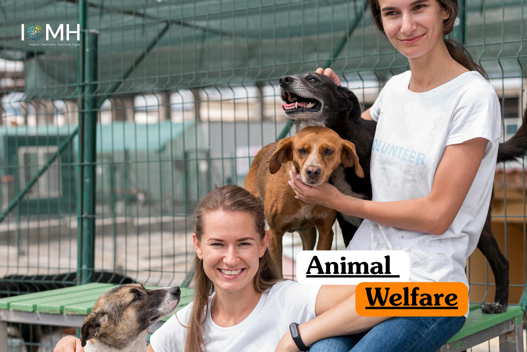Theoretical zoology and animal ethics training banner featuring two smiling female volunteers sitting on a green bench while interacting with several rescue dogs in an outdoor shelter facility.