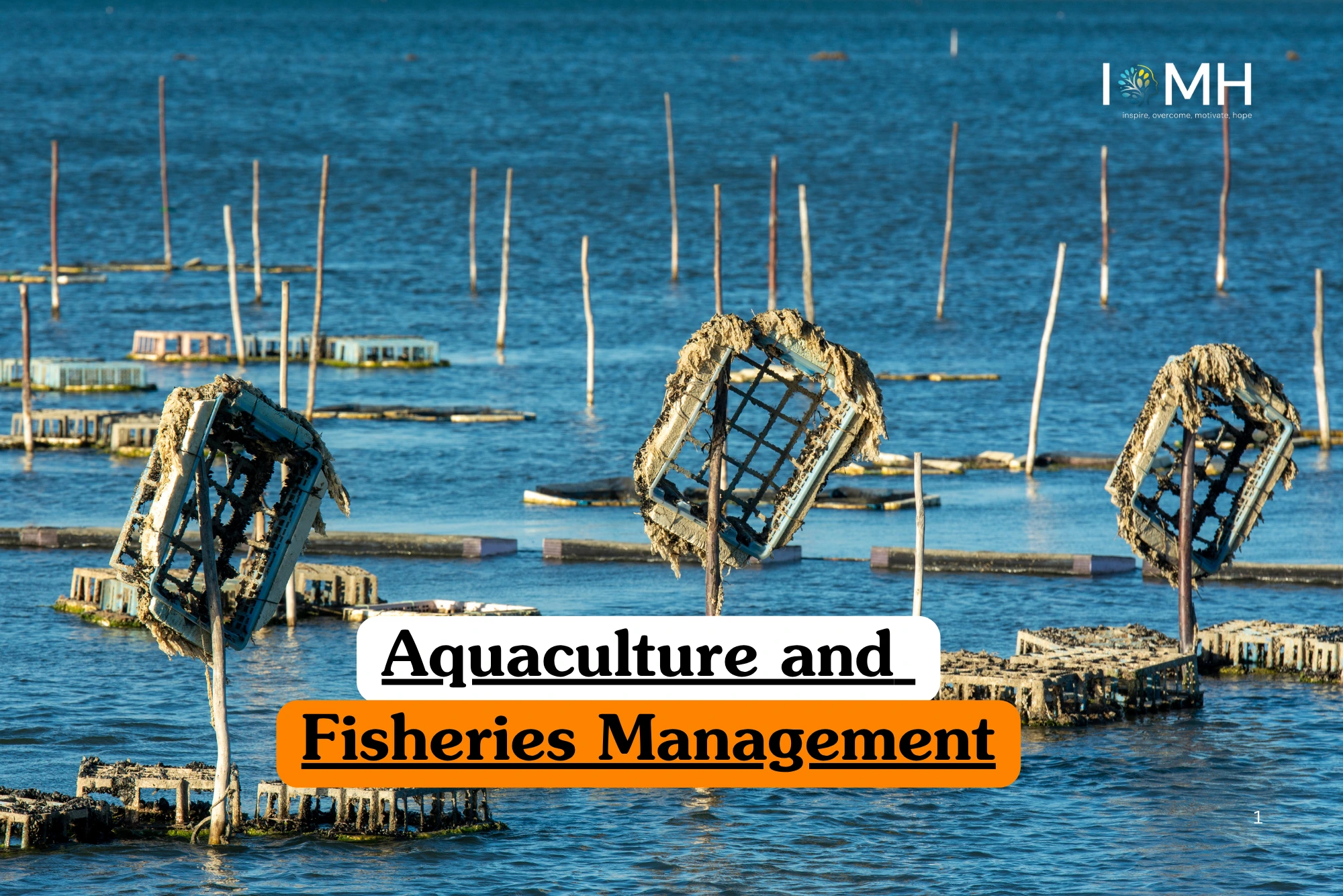 Theoretical marine science and sustainable commercial fishing training banner featuring numerous oyster cages and wooden stakes emerging from calm blue waters at a coastal aquaculture farm.
