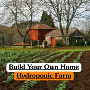 Theoretical sustainable agriculture and innovative farming training banner featuring neat rows of young green crops growing in a dark, nutrient-rich soil field, set against a backdrop of traditional farm buildings and a rustic red granary.