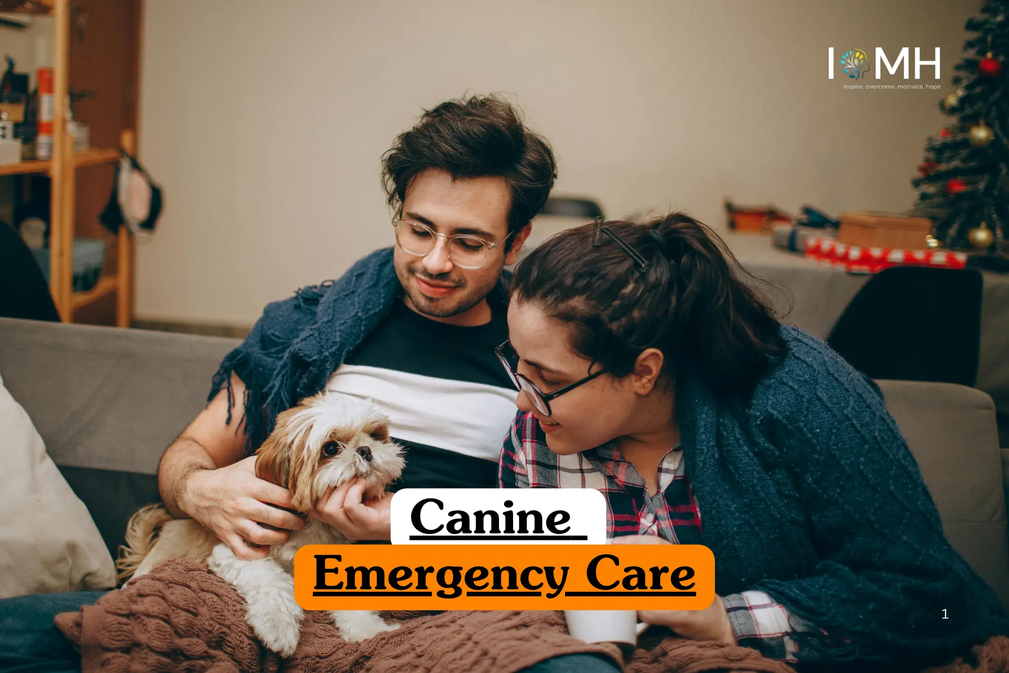 Theoretical animal health and veterinary first aid training banner featuring a man and a woman in domestic settings providing care and attention to a small long-haired dog on a sofa.
