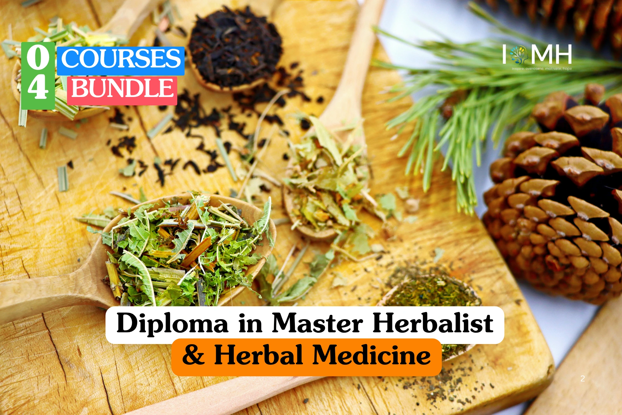 Theoretical naturopathy and botanical medicine training banner featuring a wooden surface arranged with wooden spoons holding various dried medicinal herbs, loose tea leaves, and a large pine cone.