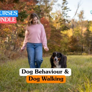 Theoretical animal care and canine psychology training banner featuring a female professional in a pink sweater walking through a grassy field with a large, long-haired black and brown dog.