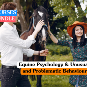 Equine psychology training banner featuring two people in a sunny outdoor field gently interacting with a dark horse, demonstrating animal behaviour assessment and positive reinforcement techniques.