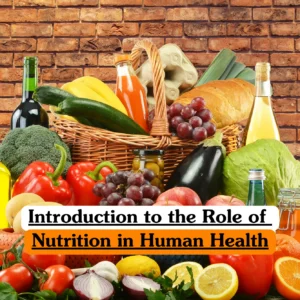Theoretical nutritional science and public health training banner featuring a large wicker basket overflowing with fresh vegetables, fruits, bread, and bottled oils set against a rustic red brick wall.