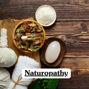 Theoretical holistic health and wellness training banner featuring an overhead arrangement of natural therapy elements, including herbal botanicals in a wooden bowl, essential oil glass droppers, a white massage compress, and mineral salts on a rustic wood surface, representing the study of naturopathic principles and alternative medicine.