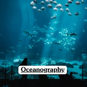Theoretical marine science and environmental biology training banner featuring a wide-angle view of a massive indoor aquarium tank with sunbeams piercing through the blue water, illuminating diverse schools of fish swimming above a rocky seabed where silhouetted visitors observe from the viewing gallery, representing the study of marine ecosystems, ocean currents, and aquatic biodiversity.