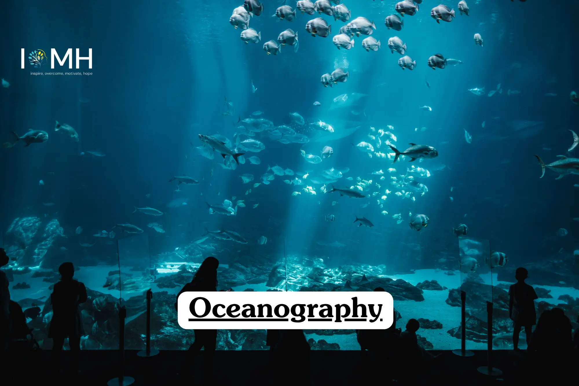 Theoretical marine science and environmental biology training banner featuring a wide-angle view of a massive indoor aquarium tank with sunbeams piercing through the blue water, illuminating diverse schools of fish swimming above a rocky seabed where silhouetted visitors observe from the viewing gallery, representing the study of marine ecosystems, ocean currents, and aquatic biodiversity.