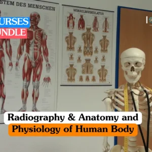 Theoretical medical science and diagnostic imaging training banner featuring a female professional in dark blue scrubs and a male colleague in a white laboratory coat examining a spinal X-ray on a light box in a clinical setting.