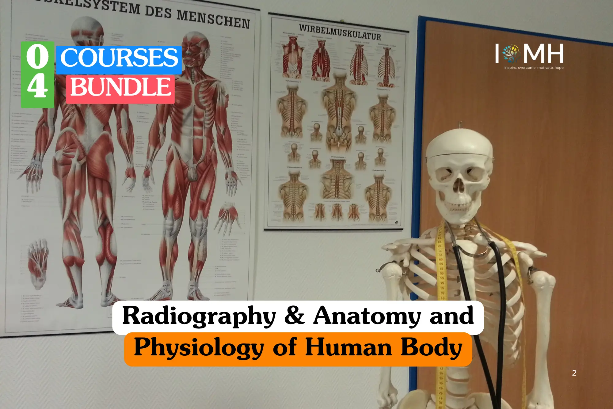 Theoretical medical science and diagnostic imaging training banner featuring a female professional in dark blue scrubs and a male colleague in a white laboratory coat examining a spinal X-ray on a light box in a clinical setting.