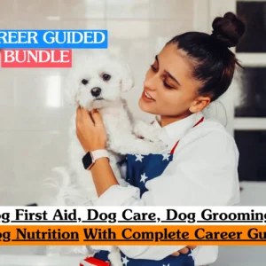 Theoretical animal wellness training banner featuring a person's hands gently checking a dog's paw, with a professional red and white pet first aid kit visible in the background.